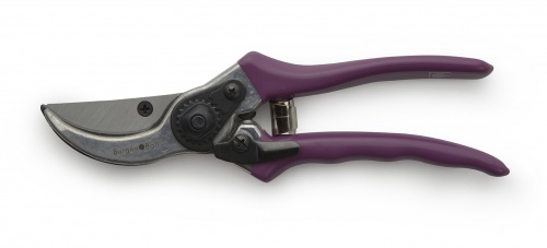 Burgon and Ball RHS Passiflora Secateurs Gift Boxed